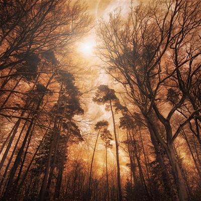 金年会体育app下载官网